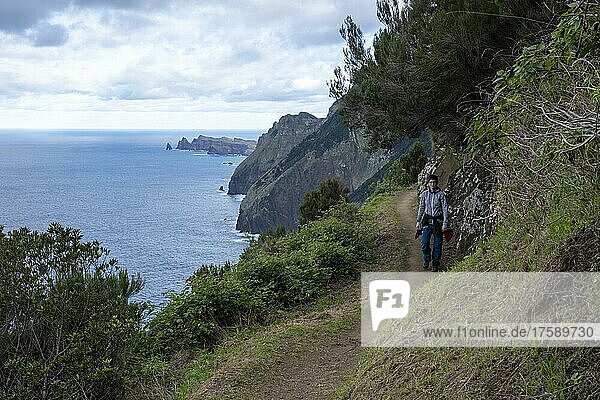 Wanderin auf Wanderweg bei Miradouro do Cabo de Larano  Madeira  Portugal  Europa