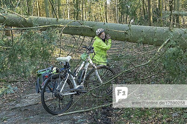 Frau macht Radtour mit dem E-Bike durch den Wald nach einem Sturm  ein umgefallener Baum versperrt den Weg  Versuch den Baumstamm aus dem Weg zu schieben  Lüneburg  Niedersachsen  Deutschland  Europa