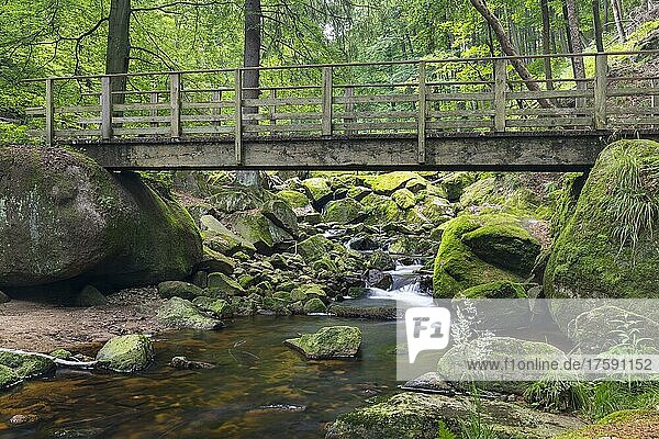 Gebirgsfluss Ilse  Wanderweg mit Brücke im Ilsetal  Nationalpark Harz  Sachsen-Anhalt  Deutschland  Europa