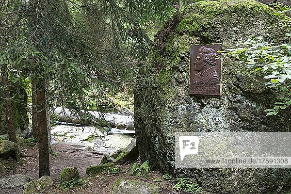 Gedenktafel an Heinrich Heine  Ilsetal  Nationalpark Harz  Sachsen-Anhalt  Deutschland  Europa