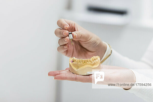 Dentist's hand holding dentures at clinic