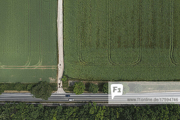 Drone view of country road stretching along edge of green field