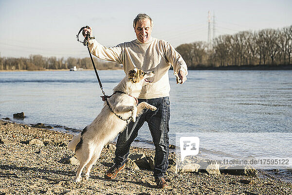 Happy senior man playing with dog at beach on sunny day