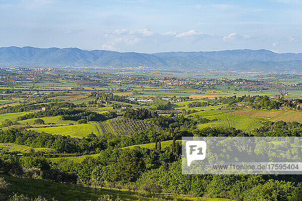 Italy  Province of Siena  View of Val dOrcia in spring