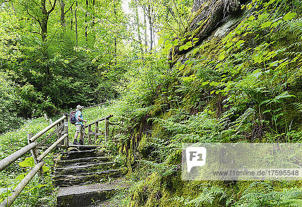 Älterer Wanderer steht auf Stufen im Wald