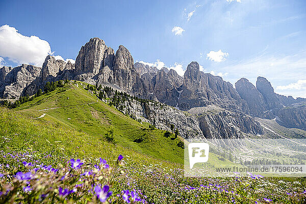 Italy  South Tyrol  Scenic view of Sella Group in Gardena Pass during summer