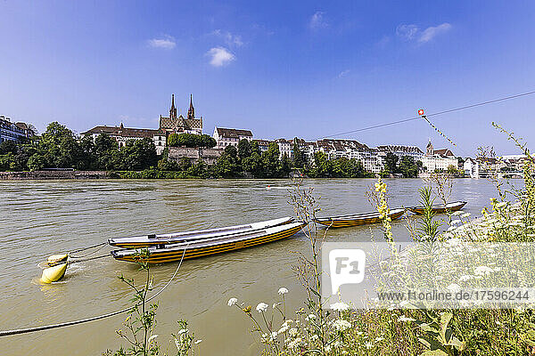 Schweiz  Basel-Stadt  Basel  Ruderboote liegen im Sommer am Rheinufer fest  mit Stadtgebäuden im Hintergrund