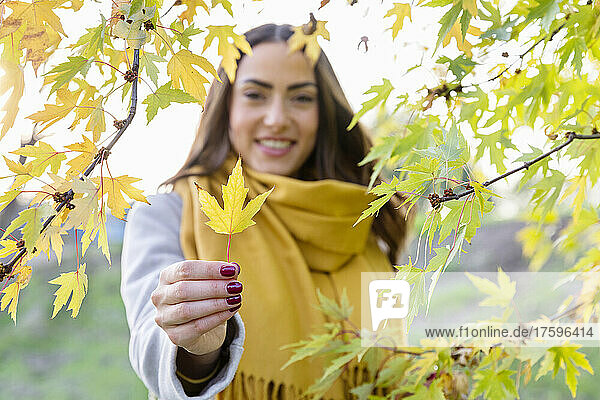 Smiling young woman holding yellow autumn leaf in park