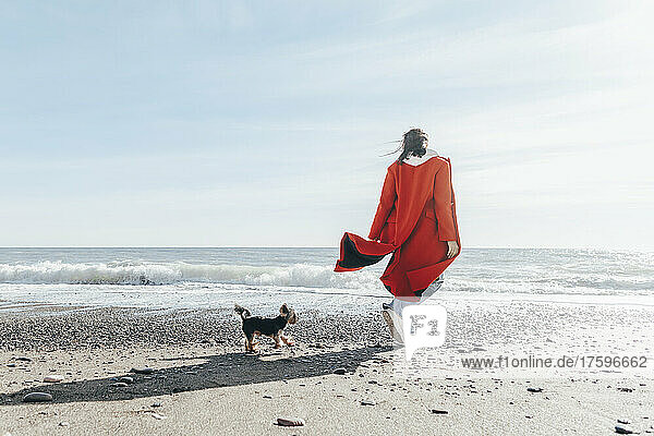 Frau mit Hund bewundert das Meer am Strand