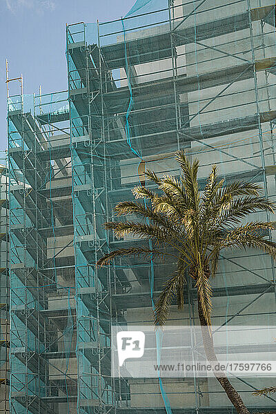 Scaffolding covered by safety net with palm tree in foreground