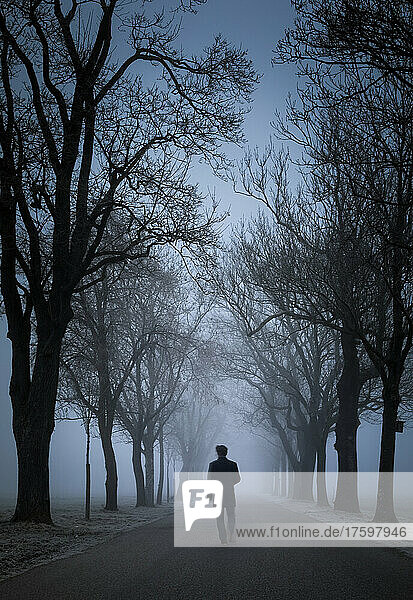 Lonely man walking on foggy avenue