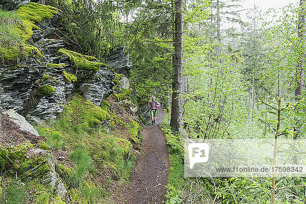 Hiker walking on trail in forest