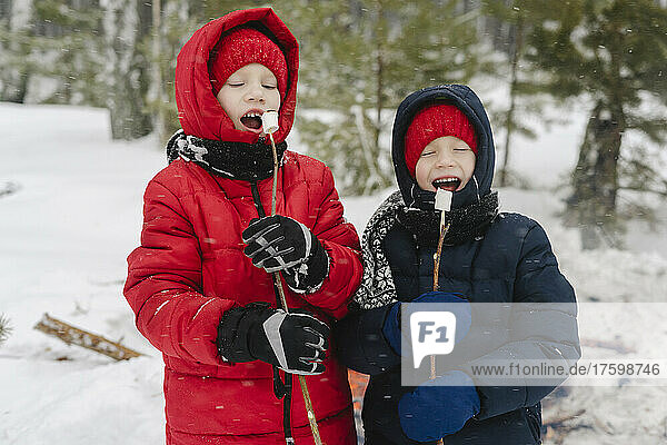 Boys with eyes closed eating marshmallows in snowy forest