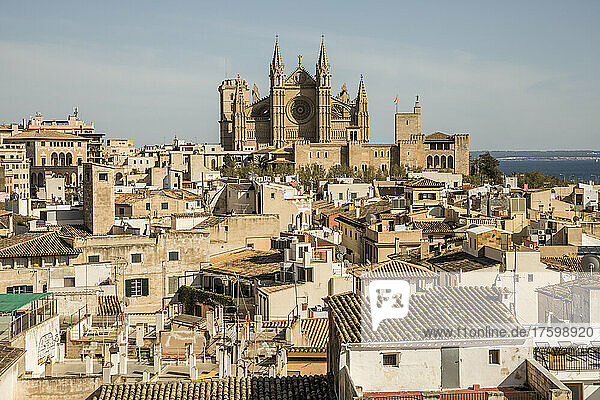Spain  Balearic Islands  Palma de Mallorca  Old town houses with Palma Cathedral in background