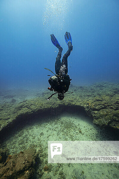 Young man diving upside down over ocean floor in sea