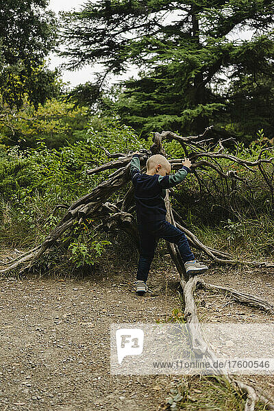 Verspielter Junge klettert umgestürzten Baum im Wald  Krim