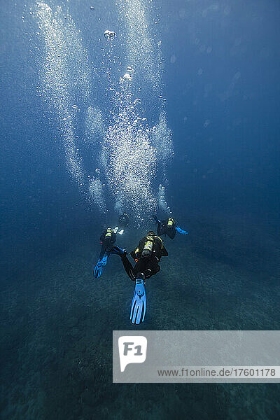 Friends diving around bubbles underwater