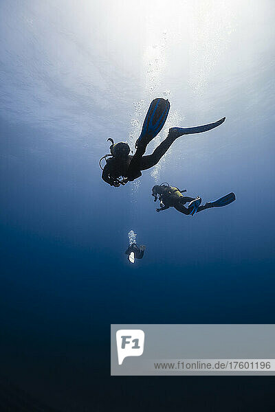 Friends with diving equipment in blue sea