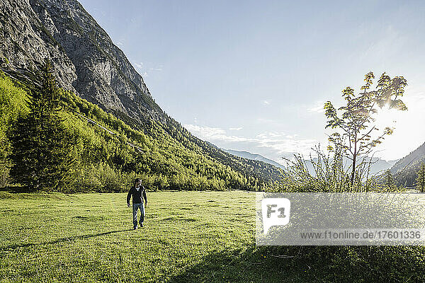 Man walking on meadow at Falzthurntal valley  Karwendel  Pertisau  Achensee  Tirol  Austria