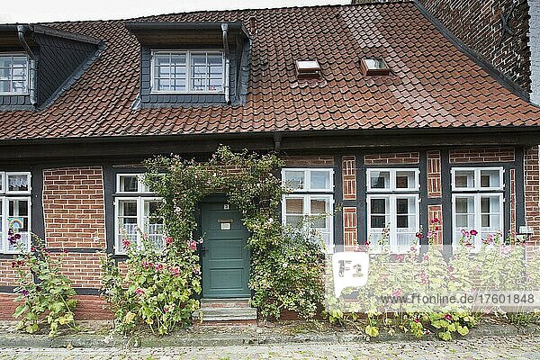 Haus in der Altstadt  Lüneburg  Niedersachsen  Deutschland  Europa