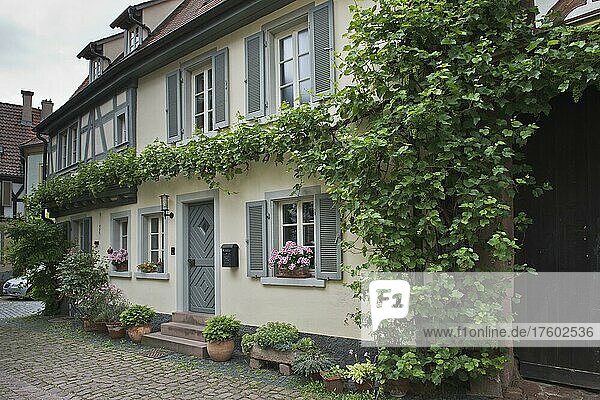 Haus in der historischen Altstadt von Ladenburg  Baden-Württemberg  Deutschland  Europa