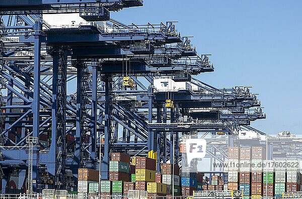 Container und Portalkräne  Hafen von Felixstowe  Suffolk  England  verkehrsreichster Containerhafen in Großbritannien