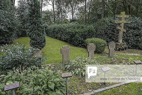 Grabsteine für unbekannte russische Soldaten und orthodoxes russisches Kreuz auf dem Friedhof für sowjetische Kriegsgefangene aus dem 2. Weltkrieg  Kriegsgräberstätte Tannenhausen  Aurich  Niedersachsen  Deutschland  Europa