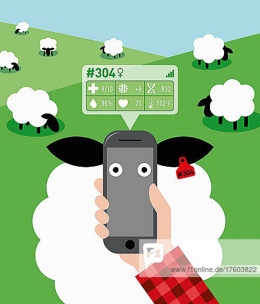 Mit dem Handy die Daten des Viehbestands verfolgen