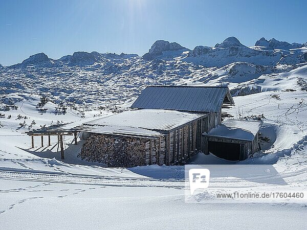 Winterlandschaft  Hütte mit Brennholz vor verschneiten Berggipfeln  Krippenstein  Salzkammergut  Oberösterreich  Österreich  Europa