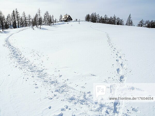 Winterlandschaft  Schneeschuhspuren zum Linzer Haus  Tauplitzalm  Steiermark  Österreich  Europa
