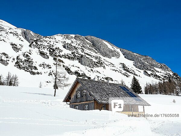 Blauer Himmel über Winterlandschaft  eingeschneite Almhütte  Tauplitzalm  Steiermark  Österreich  Europa