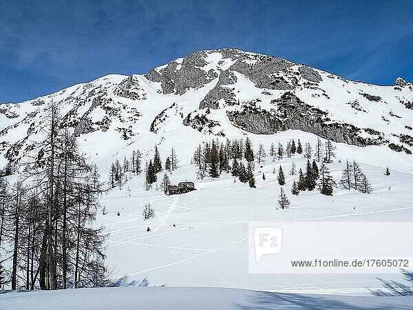 Winterlandschaft  Almhütte  verschneite Berggipfel  Tauplitzalm  Steiermark  Österreich  Europa