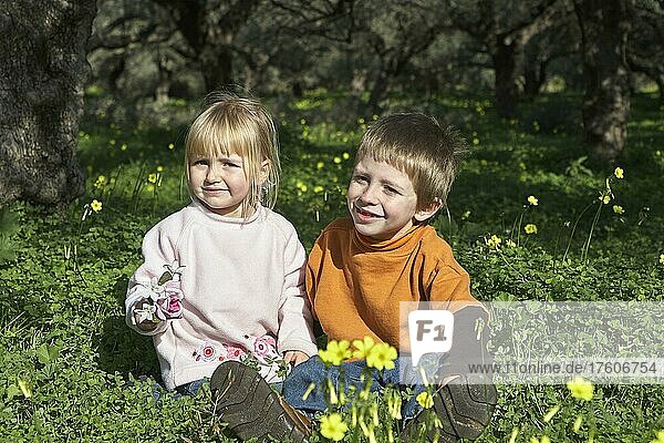 Frühling auf Kreta  ein blonder Junge und ein blondes Mädchen sitzen auf einer Frühlingswiese unter Olivenbäumen (Oliva)  Insel Kreta  Griechenland  Europa