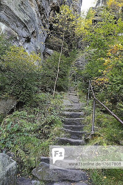 Steile Treppe zwischen Felsen  Aufstieg zum Tafelberg Pfaffenstein  Nationalpark Sächsische Schweiz  Sachsen  Deutschland  Europa