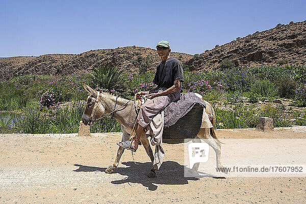 Senior man riding a donkey in the desert of Morocco; Massa Region  Morocco