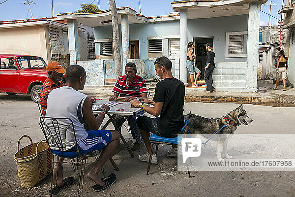 Ein Hund steht stramm und Menschen unterhalten sich  während vier Männer an einem Tisch in der Straße von Havanna  Kuba  Domino spielen; Havanna  Kuba