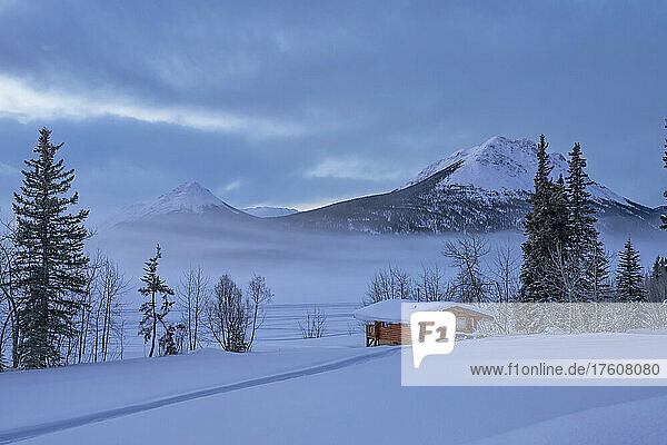 Hütte in einer Winterlandschaft an einem stimmungsvollen Morgen; Tagish  Yukon  Kanada