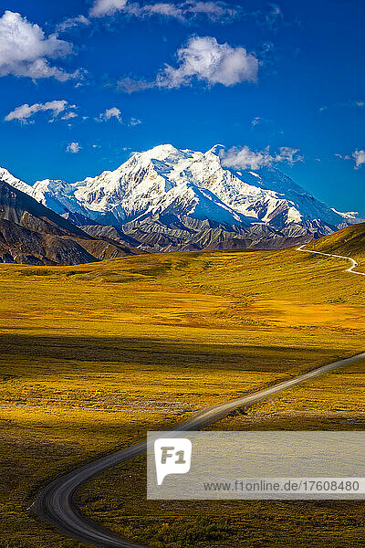 Mount Denali (McKinley)  vom Stony Hill aus gesehen  mit der herbstlich gefärbten Tundra und der Park Road im Vordergrund; Denali National Park and Preserve  Interior Alaska  Alaska  Vereinigte Staaten von Amerika