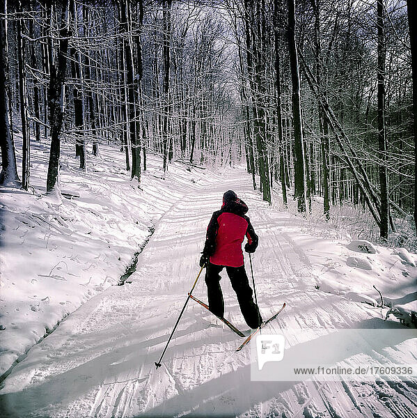Eine Frau läuft auf Langlaufskiern bergauf im Whitegrass Touring Center; Canaan Valley  West Virginia.