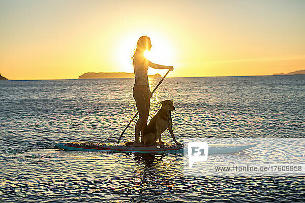 Eine Frau geht mit ihrem Hund in Baja zum Paddeln.