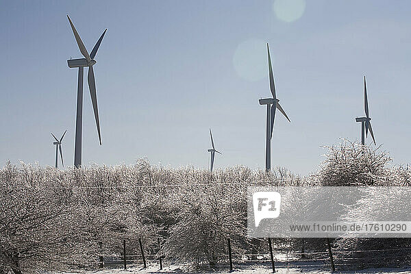 Windkraftanlagen nach einem Eissturm; Mount Storm  West Virginia.