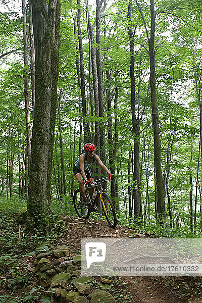 A woman rides a mountain bike on Props Run  a single track trail.; Monongahela National Forest  Slatyfork  West Virginia.