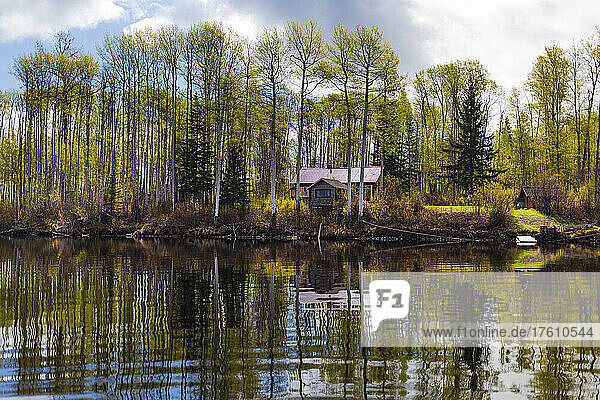 Hütte in einem Wald am Ufer des Wassers mit Baumspiegelungen im ruhigen Wasser  Hudson Bay Mountain; Smithers  British Columbia  Kanada