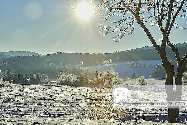 Gefrorene und verschneite Landschaft bei Sonnenaufgang; Bayern  Deutschland