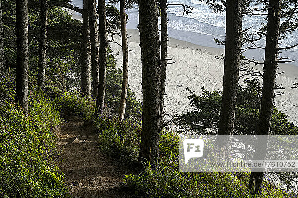 Ein beliebter Weg führt zum Crescent Beach im Ecola State Park an der Küste von Oregon; Cannon Beach  Oregon  Vereinigte Staaten von Amerika