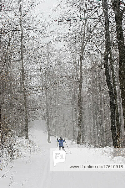 A woman cross country skate skiing through the woods.; Canaan Valley  West Virginia.