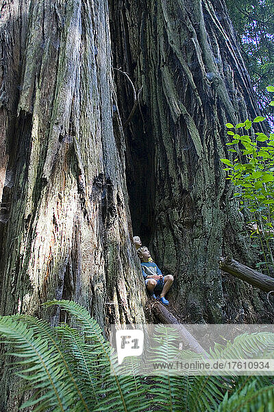 Zwei Jungen in einem riesigen Redwood-Baumstamm; Nordkalifornien.
