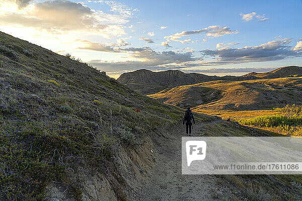 Woman walking on a trail through Grasslands National park  Saskatchewan as sunset nears; Val Marie  Saskatchewan  Canada