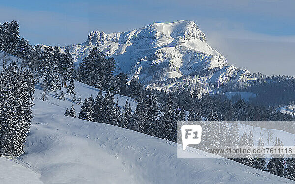 View of snow covered Barronette Peak in the Absaroka Range on a sunny winter day in Yellowstone National Park; Wyoming  Unites States Of America
