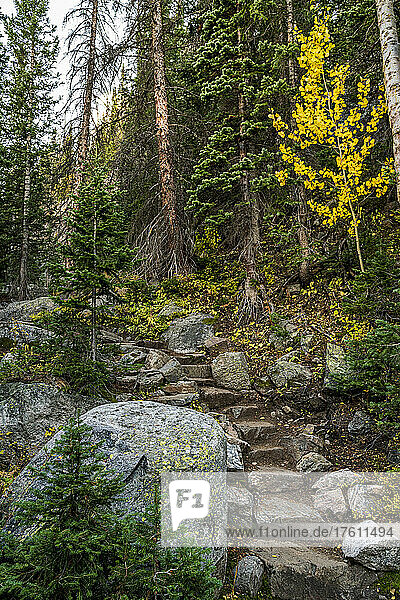 Wanderweg durch eine zerklüftete Berglandschaft im Herbst  Rocky Mountain National Park; Colorado  Vereinigte Staaten von Amerika